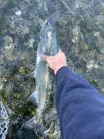 IMG_7975.jpeg