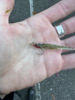 IMG_7980.jpeg