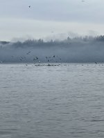 IMG_0636.jpeg