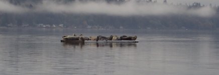 IMG_5125.jpeg