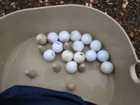 IMG_5126.jpeg