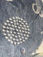 IMG_8363.jpeg