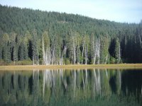 DSCF1054.jpg