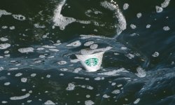 Pumpkin Spice Latte.jpg