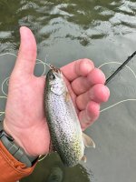 IMG_3099.jpeg