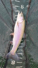 20231015_101552.jpg 20231015_101552.jpg