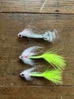 IMG_7998.jpeg