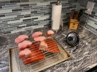 IMG_3419.jpeg