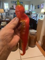 IMG_4010.jpeg
