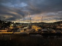 IMG_6605.jpeg