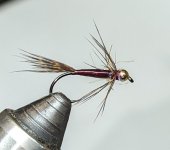 PXL_20231018_233721584.jpg