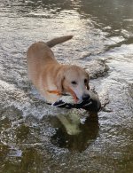 IMG_0877.jpeg