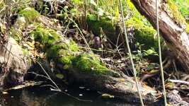 VideoCapture_20231019-140609.jpg