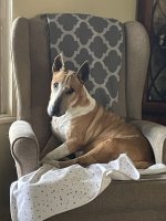 IMG_0540.jpeg