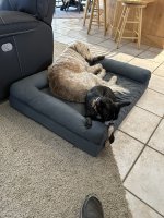 IMG_3469.jpeg