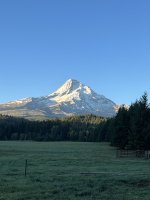 IMG_5240.jpeg IMG_5240.jpeg