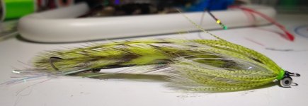 IMG_20231019_213344243.jpg