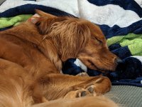 1000000030.jpg