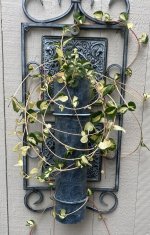 IMG_4028.jpeg