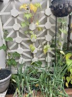 IMG_4026.jpeg