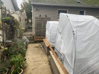 IMG_4025.jpeg
