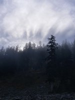 IMG_8456.jpeg