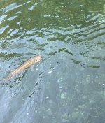 IMG_0792.jpeg