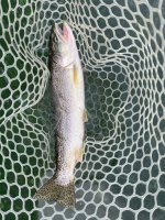 IMG_0816.jpeg