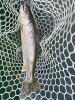IMG_0817.jpeg
