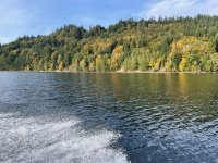 IMG_0820.jpeg