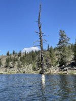 IMG_2549.jpeg