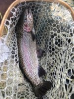 IMG_1333.jpeg