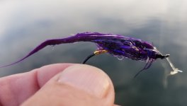 20231022_fly.jpg 20231022_fly.jpg
