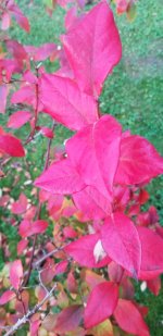 20231022_174426.jpg