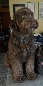 IMG_5205.jpeg