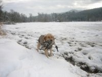 IMG_0354.jpeg