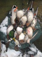 IMG_0814.jpeg