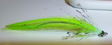 IMG_20231023_211217600.jpg