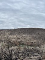 IMG_6497.jpeg