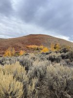 IMG_6498.jpeg