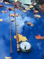 IMG_3430.jpeg