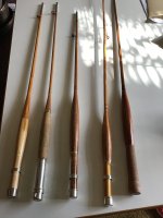IMG_2588.jpeg