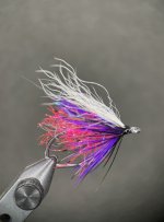 IMG_0880.jpeg
