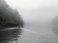 23tidewaterfog.jpg