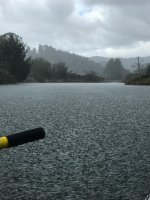 23oregonliquidsunshine.jpg