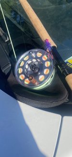 IMG_3494.jpeg