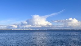 IMG_3486.jpeg