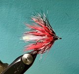 IMG_3492.jpeg