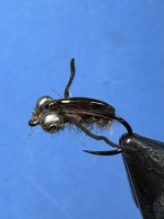 IMG_2314.jpeg