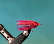 IMG_3497.jpeg